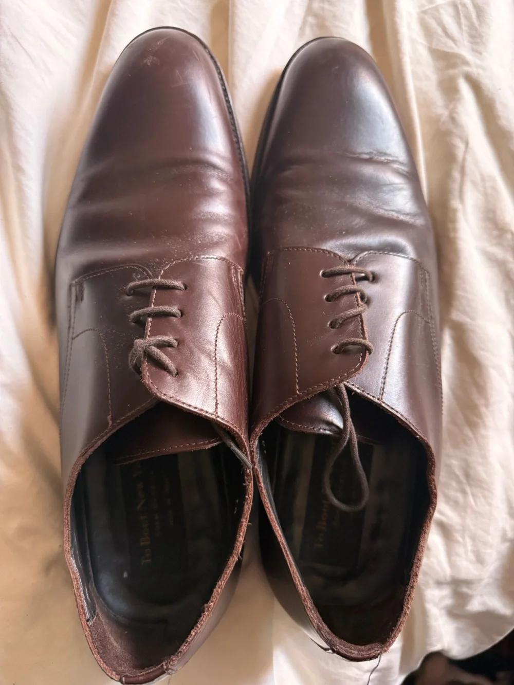 To Boot Dark Brown Leather Derby Shoes